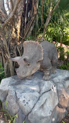 ジャングリアは冬がいいの記事動画