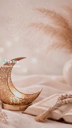 عيد  مباركةの記事動画