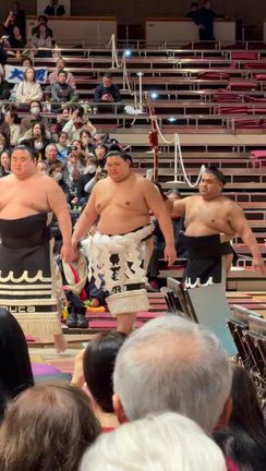 NHK福祉大相撲⭐︎の記事動画