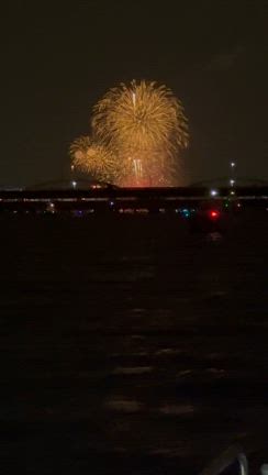 ８月３日（土）  淀川花火大会チャーターの記事動画