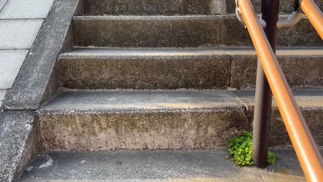 昨日の多摩川大師グランド！挨拶はしっかりね。の記事動画