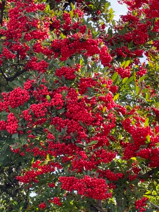 巻雲⋯(^^;の記事動画