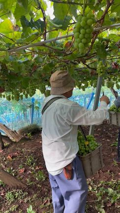 世代をこえて紡ぐ、受け継ぐ思いの記事動画