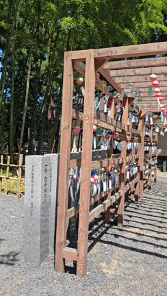 熊野大社の記事動画