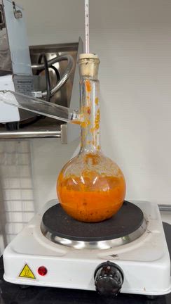 本日のマルガーラボ野々市の記事動画