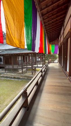 大覚寺（京都市右京区）の写真と御朱印②の記事動画