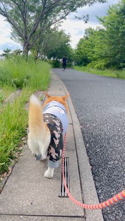 つなぎとモフモフ。の記事動画