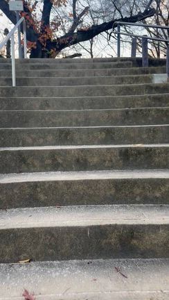 久々ヤジュウォークちょっとランの記事動画