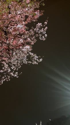 先を見据えての記事動画