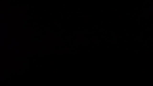 どういたしましての記事動画