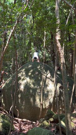 【テーマは区切り】 《屋久島リトリート2025》の記事動画