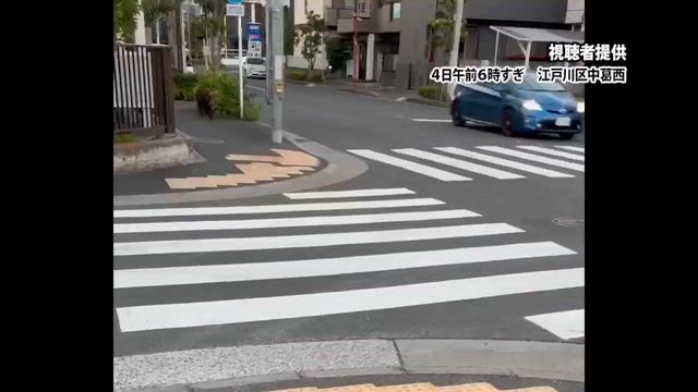 これってマジ？σ(ﾟДﾟ*)の記事動画
