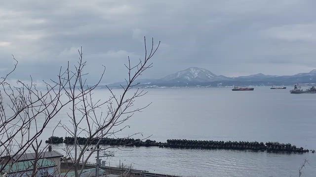 2025年01月　函館旅行 3泊4日旅行　3日目　③の記事動画