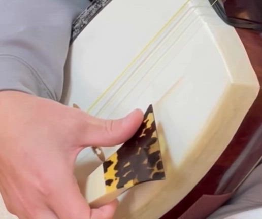 生音の響きを深掘り！の記事動画