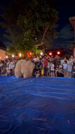 石垣帰省 久しぶりに獅子舞をみました！の記事動画