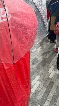 わんぱくが寒さに負けた日の記事動画