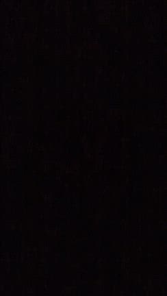 12月31日水曜日✨⭐️の記事動画