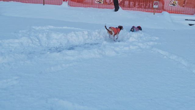 アウトドアブランドの底力の記事動画