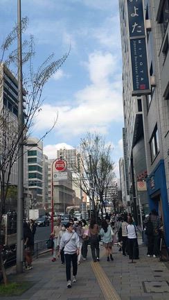 本日の青山通り♬の記事動画