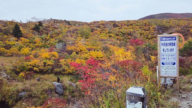 通院デー。エンハーツー６の記事動画