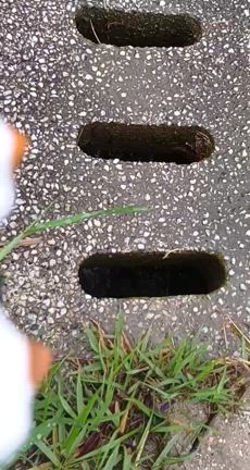 2025/6/24の記事動画