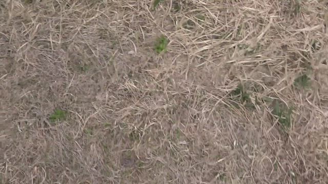 かぐらスキー場　5月12日営業最終日の帰りに見たもの！！の記事動画