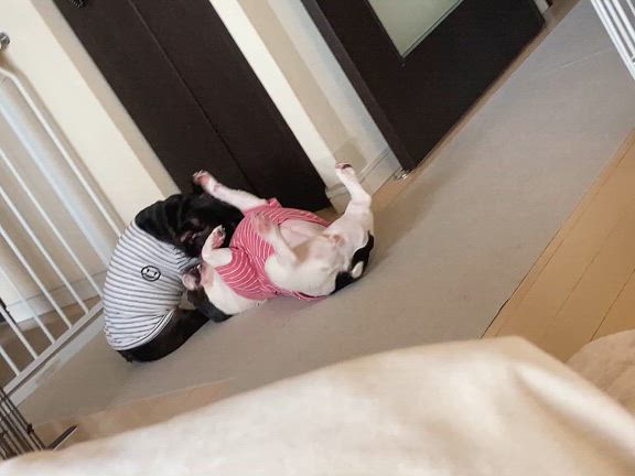 【GW営業日のお知らせ】相談室・サロン共通です！の記事動画