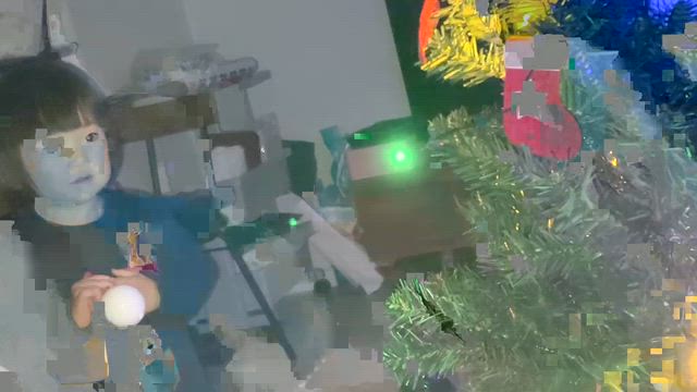 クリスマスツリーが♪の記事動画