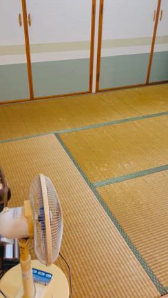 G邸全貌♪の記事動画