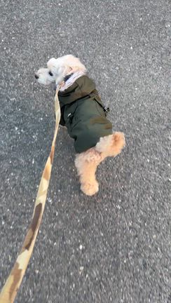 ⭐️可愛いお友達＆ありがとうございます⭐️の記事動画