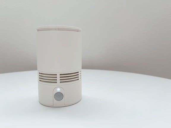 【動画あり】楽天ランキングに入っていたバズりアイテム使ってみた！の記事動画