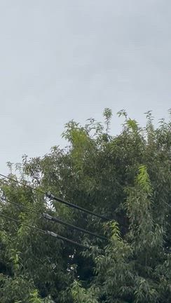 解決した！の記事動画