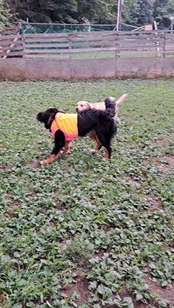 お久しぶりでーす！の記事動画