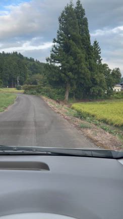 イノシシに遭遇の記事動画