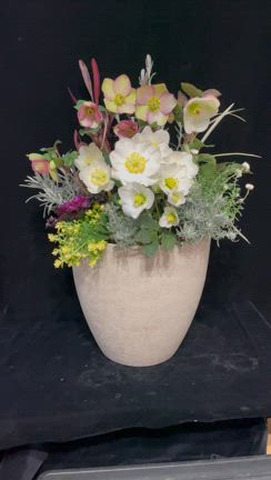 クリスマスローズ寄せ植えギフト。の記事動画