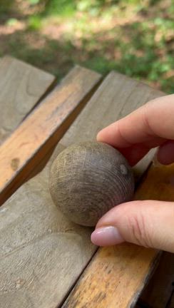 ガーデンめぐり②の記事動画