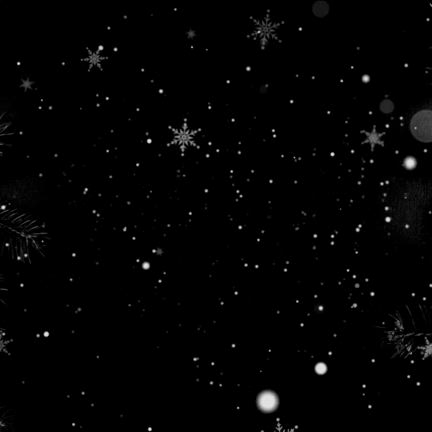 期間限定クリスマスセール始まります♡の記事動画