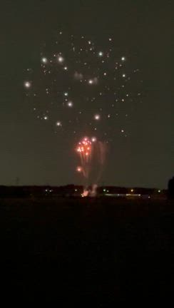 最近の私16の記事動画