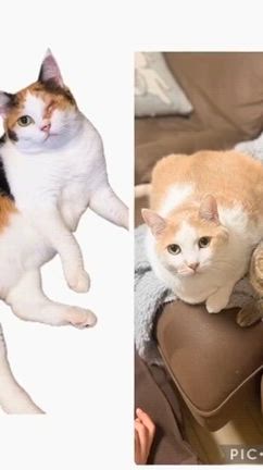 2026/02/22の記事動画