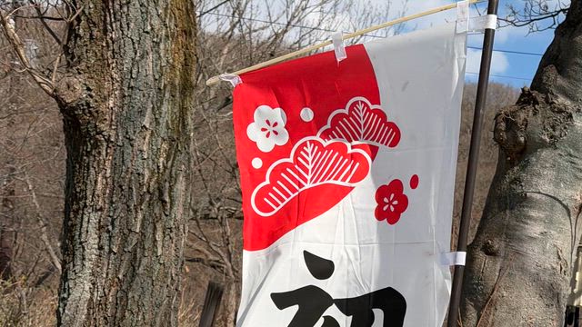 ◆［1分間のお清め動画］立春神社参拝の記事動画