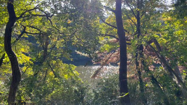 幸せになるのは簡単であるの記事動画