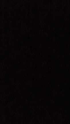 1月4日日曜日✨⭐️の記事動画