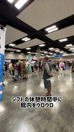 ホノルルフェスティバルのお手伝いで「お酒ブース」で働いていた話の記事動画