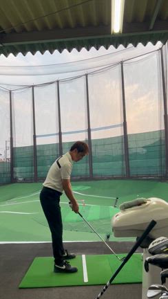 久しぶりのスウィング動画2の記事動画