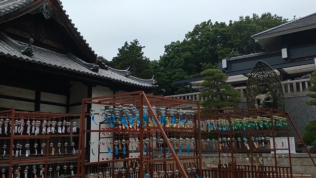 梅雨の合間にの記事動画