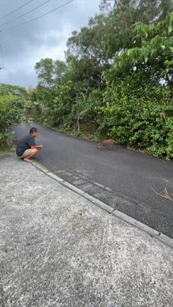 masany landのジャングルに住む仲間「しっしー」の記事動画