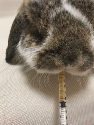 おいしいお薬の記事動画