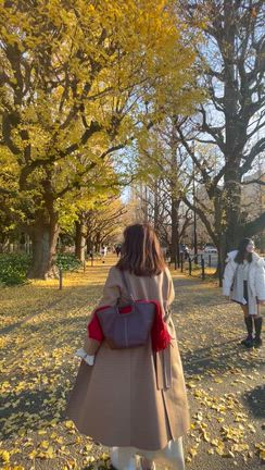 神宮外苑クリスマスマーケット　の記事動画