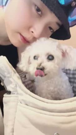 桃ちゃんに〜♥️の記事動画