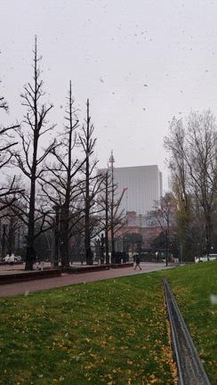 amazonの倉庫の方がミスが無いかもの記事動画